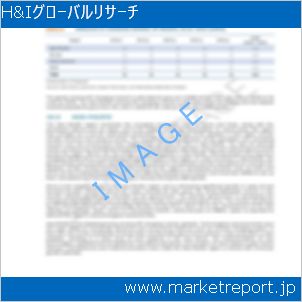 市場と産業調査レポートのイメージ
